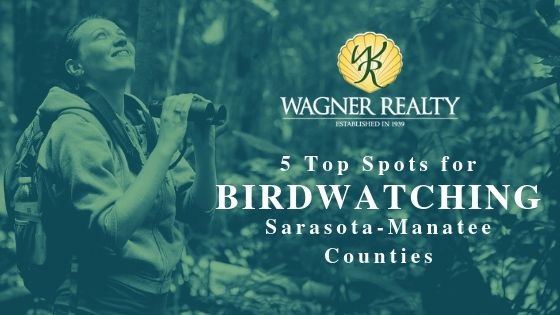 Sarasota-Manatee Birdwatching
